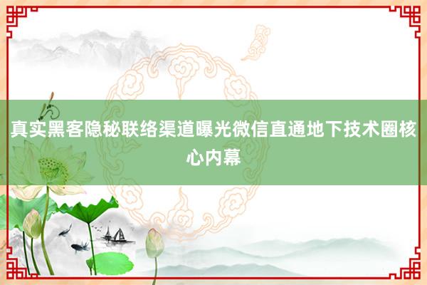 真实黑客隐秘联络渠道曝光微信直通地下技术圈核心内幕